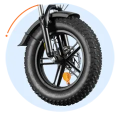Populär Fat Tire E-Bike