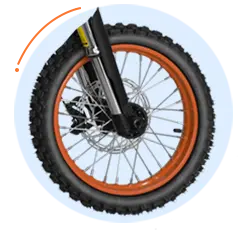 Populär Fat Tire E-Bike