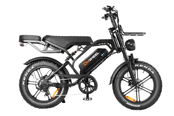 Fat Tire elektriska cyklar