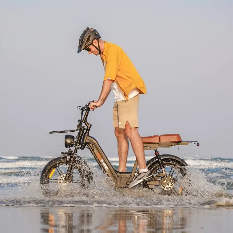 D50