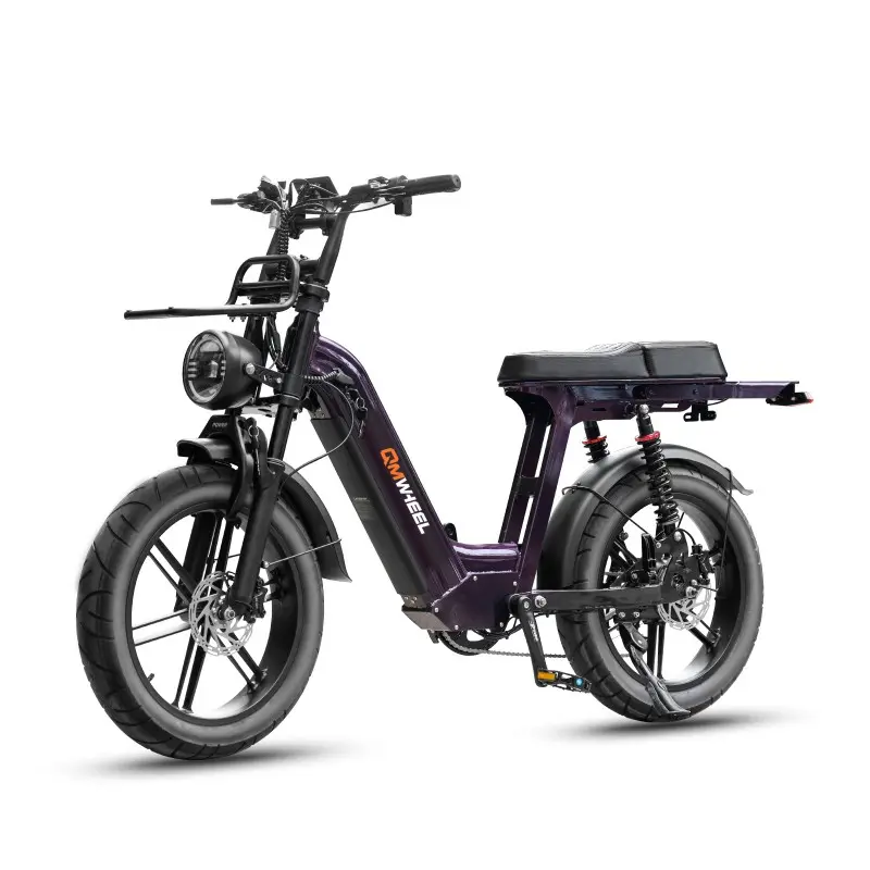 City Commuter Ebike med långdistansbatteri City Commuter Ebike med långdistansbatteri
