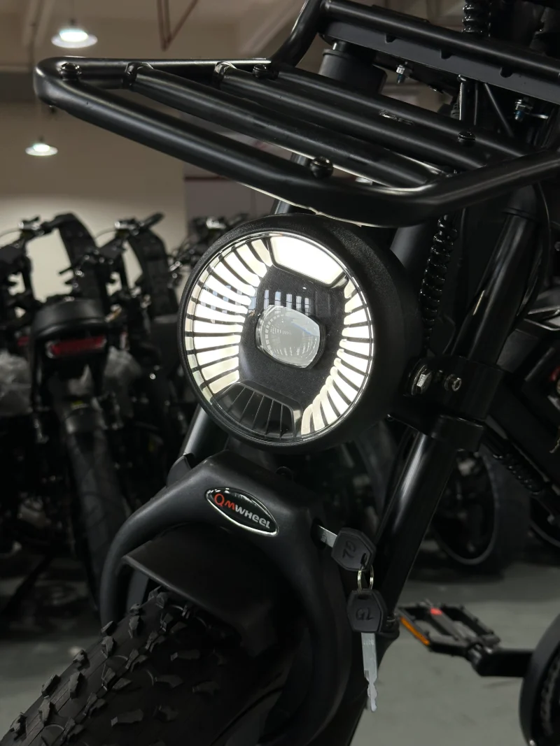 Long Range Fat Tire Ebike f&ouml;r OEM och ODM Outdoor Mobility Brands