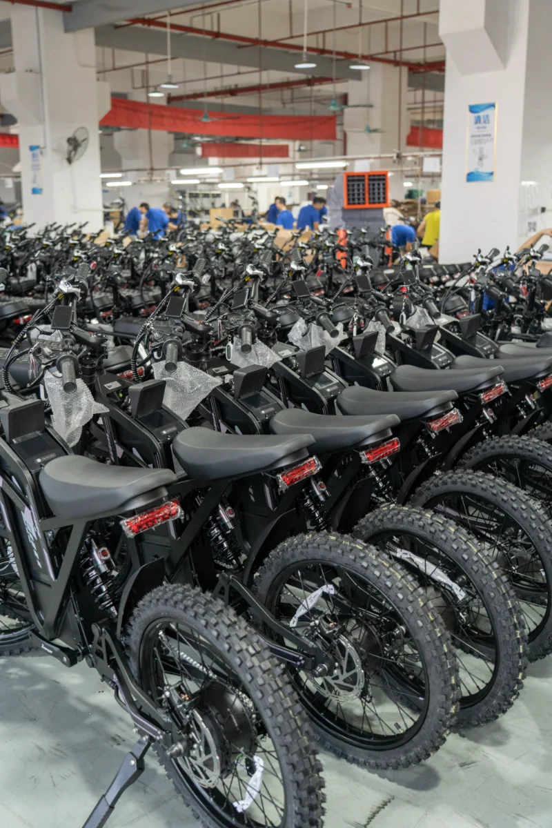Dual Battery Fat Tire elcykel f&ouml;r grusv&auml;gar och utomhus&auml;ventyr
